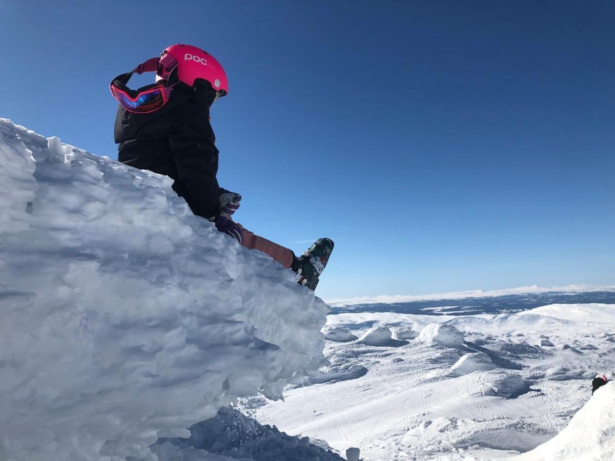 Hotell Karolinen Åre Zewnętrze zdjęcie